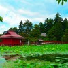 猿賀神社 蓮の池