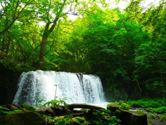 奥入瀬渓流  銚子大滝