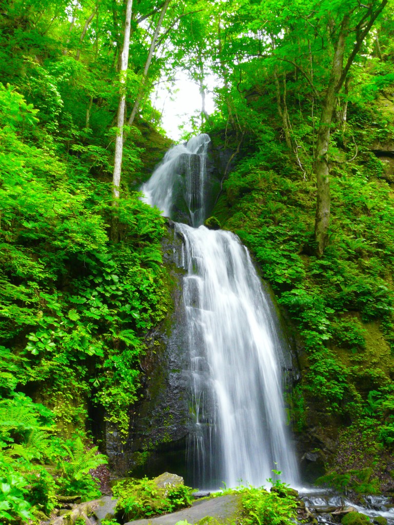 奥入瀬渓流  雲井の滝