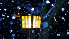 猿賀神社 灯籠 雪景色