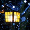 猿賀神社 灯籠 雪景色