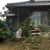 にゃん