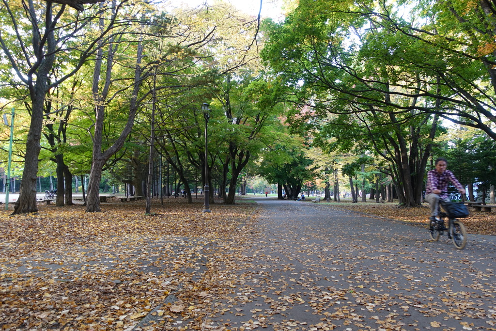 DSC01751
