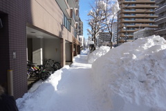 雪ですごいことになっています