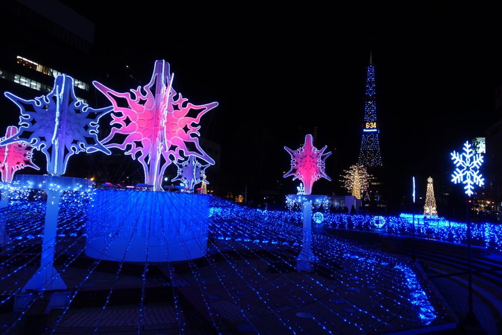 札幌　ホワイトイルミネーション