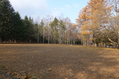 札幌　円山公園