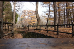 札幌　円山公園
