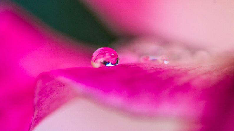 花雫　1