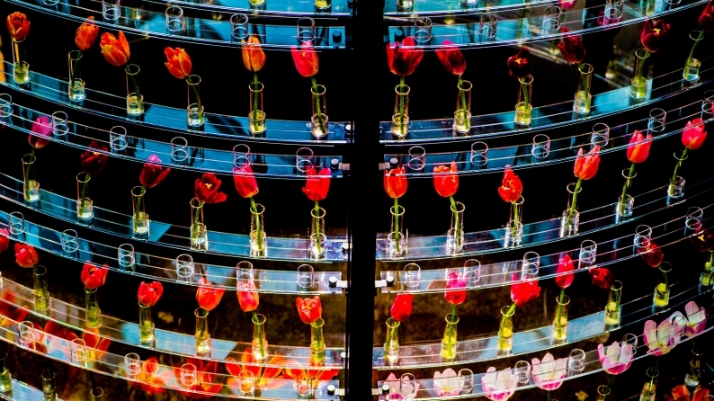 四季彩館　2