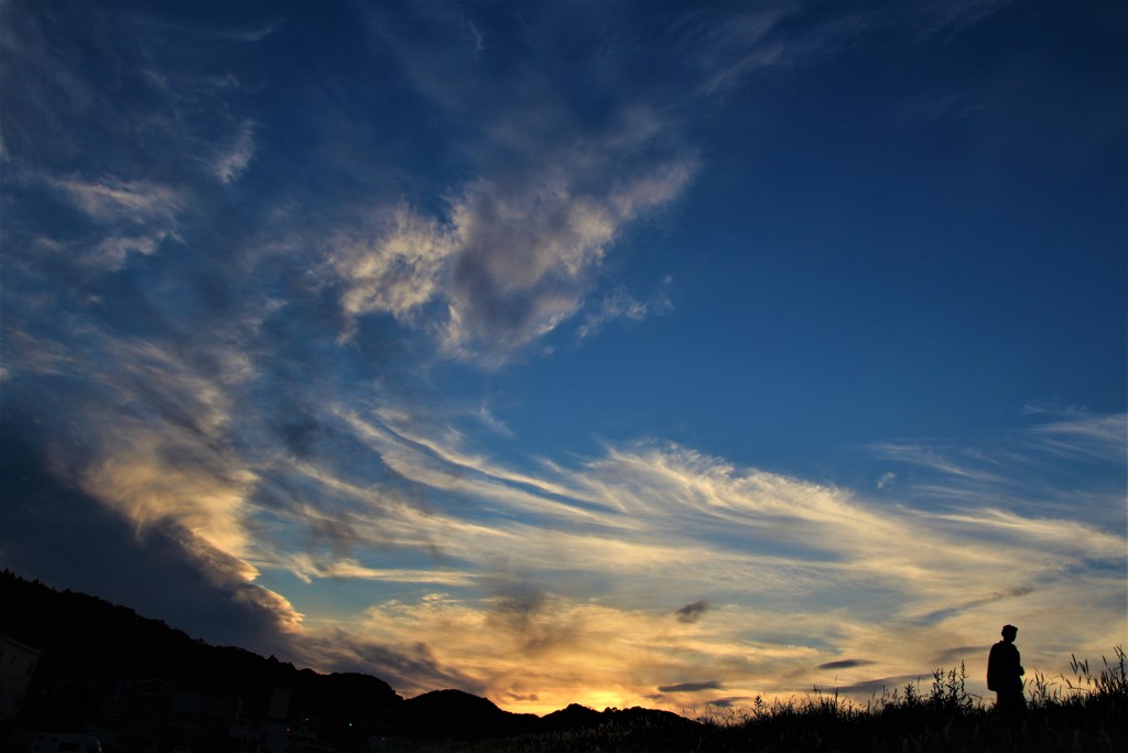 夕暮れの川沿い散歩②