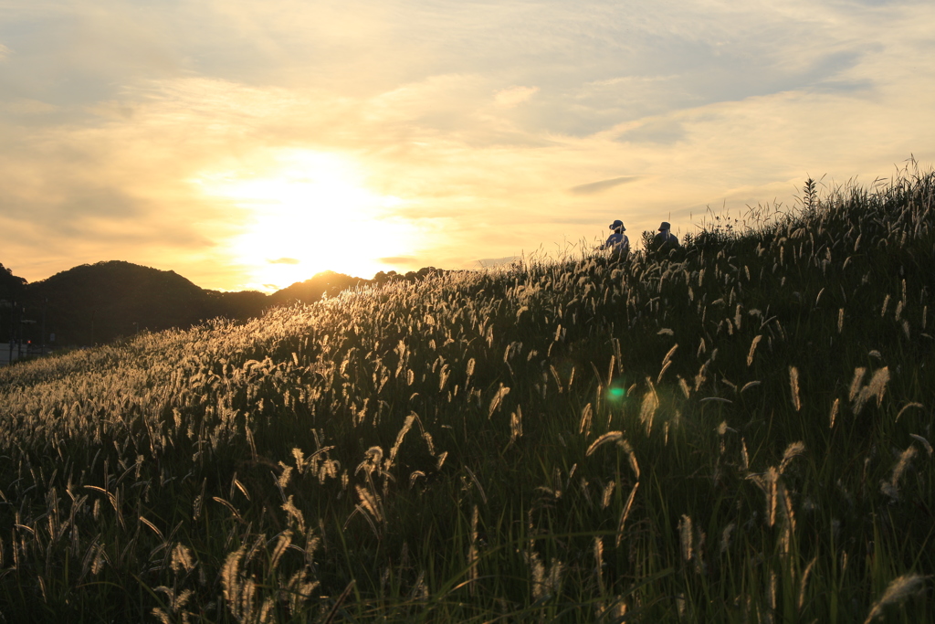 夕暮れの川沿い散歩①