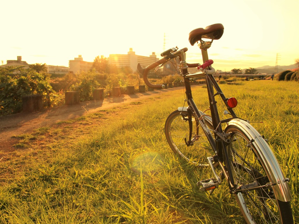 夕方の鏡川、自転車。