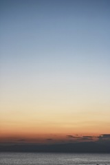 空のパレット