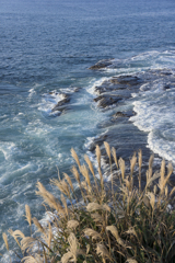 _DSC6710
