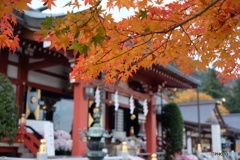 大山阿夫利神社の紅葉