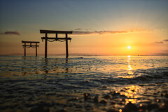 海中鳥居