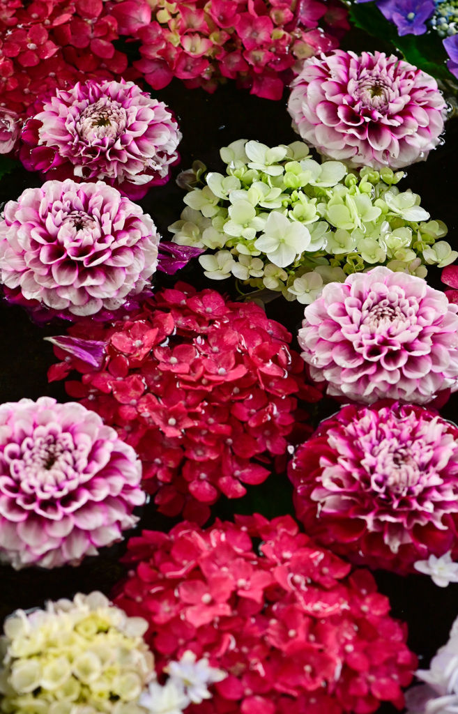 花手水