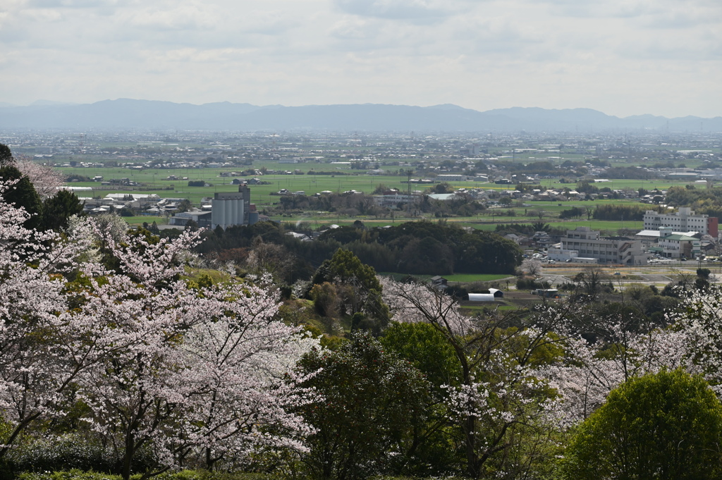 平野