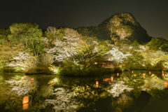 夜桜