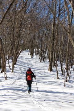 雪の山道