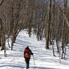 雪の山道