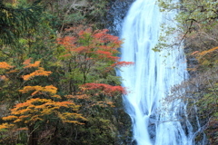 丸神の滝