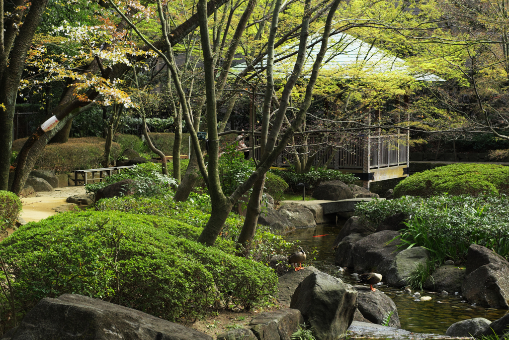 大田黒公園にて