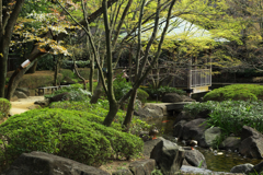 大田黒公園にて