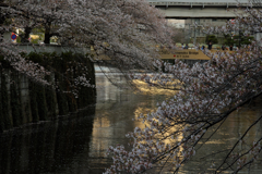 亀甲橋をのぞむ