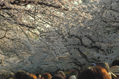 色いトンネル