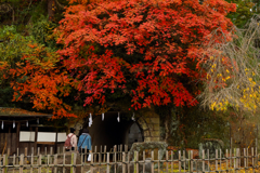 宮島桟橋付近にて