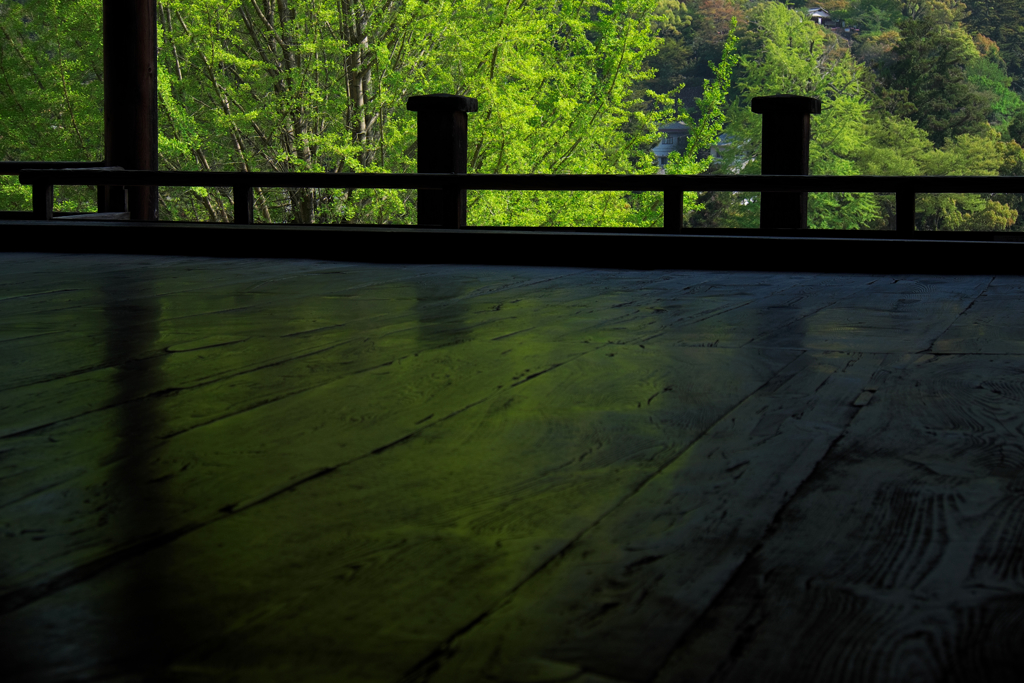 千畳閣の床にさしこむ緑