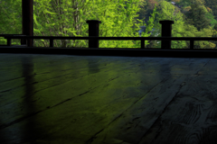 千畳閣の床にさしこむ緑