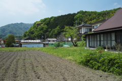 里山の春