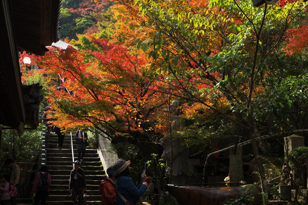 宮島・大聖院の境内にて