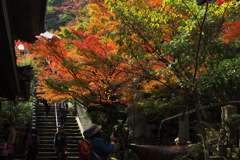 宮島・大聖院の境内にて