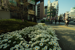 換算15ミリで撮ると