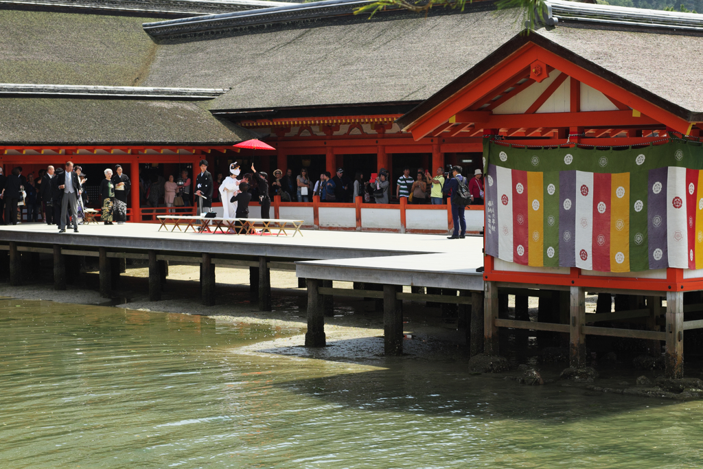 厳島神社の花嫁さん