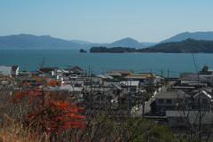 瀬戸の春
