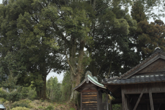 里山の風景　４