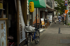 濹東綺譚の世界のようです