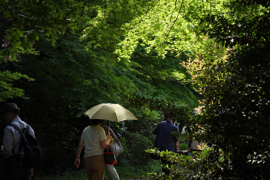 緑ゆたかな公園
