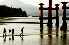 潮が引きはじめた大鳥居付近