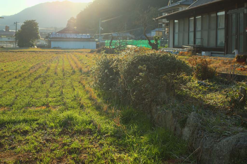 里山の風景　２