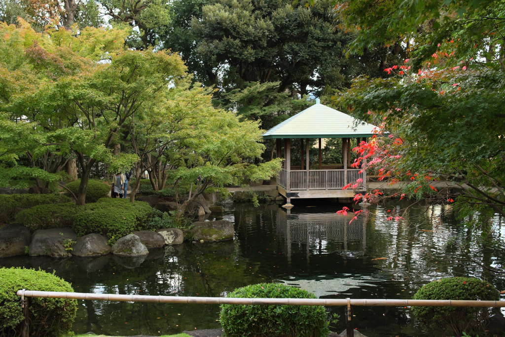 大田黒公園にも少し秋が
