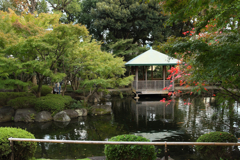 大田黒公園にも少し秋が
