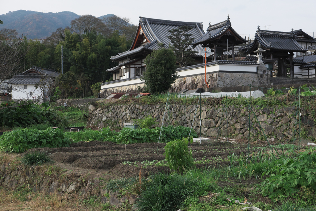 廿日市市の田舎