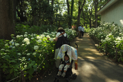 木漏れ日の豊島園