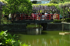 大勢の参拝者が