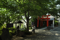 木陰で
